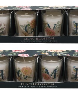 Set of 4 cups of scented candle BOTANIC model