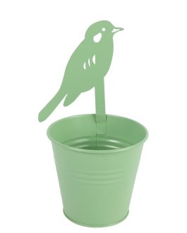 Bird on green tin bucket