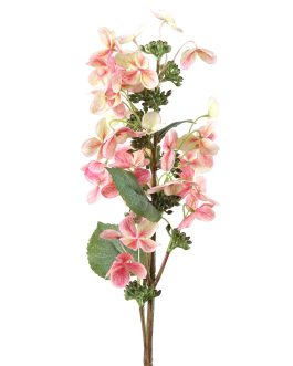 Pink Hydrangea Branch